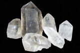 Lot: Lbs Smoky Quartz Crystals (-) - Brazil #77842-4
